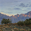 Globe Mallow Dusk  20 x 20 Oil