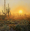 Saguaro Sundown-Saguaro National Park West  20 x 20 Oil