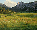 Shadow Patterns and Lost Thistle<br>McGregor Ranch, Rocky Mountain National Park 16 x 20 Oil