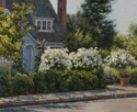 Bungalow and White Roses  16 x 20 Oil