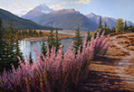 Edged in Wispy Plumes of Fall Fireweed 20 x 30 Oil