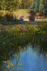 Wild Iris and Lupin - Betty Ford Gardens  36 x 24 Oil